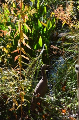 anniversaire Mamy,chateau d'eau,jardin automne 081.JPG