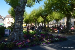coquelicots,fête des fleurs Lalinde,fouleix,jardinage 083.JPG