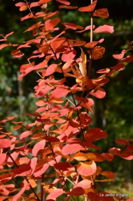 anniversaire Mamy,chateau d'eau,jardin automne 075.JPG