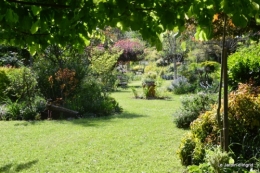 jardin avril et mai, 112.JPG