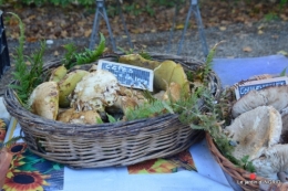 Issigeac,citrouilles ,rhus,automne,jardin 024.JPG
