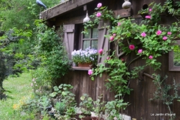 jardin avril et mai, 036.JPG