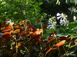 jardin,papillons,anniversaire d'Ines,bricolage 203.JPG