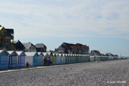 la baie de Somme 043.JPG