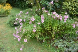 ombre,St Astier,St georges de Monclar,pluie,kois 113.JPG