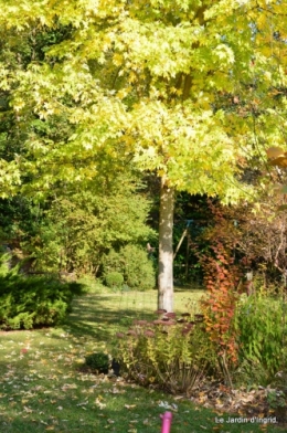 jardin automne,Arya avec Nicky 104.JPG
