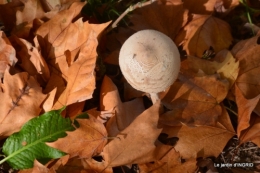 canal automne ,jardin,Ines 107.JPG