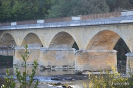 sentier des cygnes,automne novembre 111.jpg