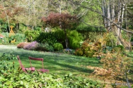 osier,jardin,decos,vieilles photos 056.JPG