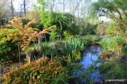 les dentelles,jardin avril 106.JPG