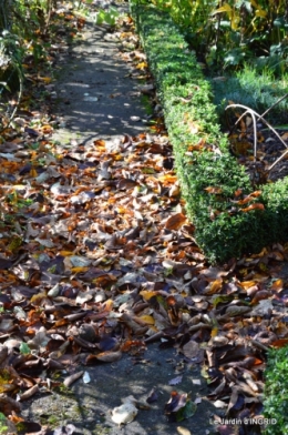 Romefort,bord de Creuse,vent,feuilles,jardin,canal 115.JPG