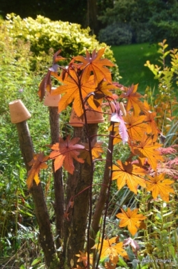 Automne au jardin 118.JPG