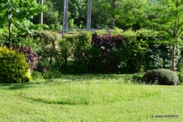 jardin soir et matin 059.JPG