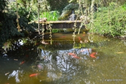 plans d'eau,jardin 041.JPG