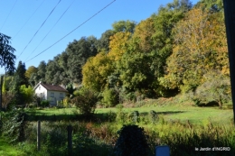 jardin automne,voisinage,canal 154.JPG