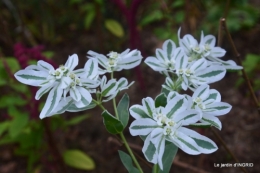 les Métallies,jardin ,visiteurs 099.JPG