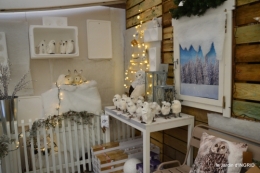 première gelée,décos Noel Jardiland Proflora 108.JPG