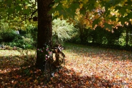 citrouille fleurie,décos jardin,automne 060.JPG