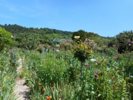 Normandie,jardin Monet,baie de Somme,chez Marylaur 192.JPG