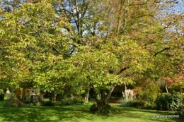 Noel jardiland,sauges,Ines,hélicoptère,canal, 015.JPG