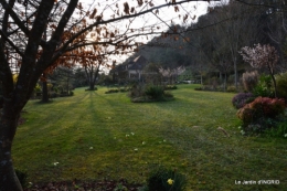 semis,taille,tonte,tour du jardin 054.JPG