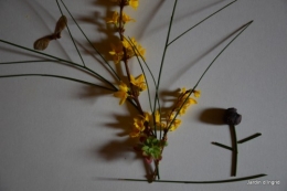 matin d'hiver,tableaux de fleurs janvier 046.JPG