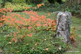 brocante st avit Se.jardin st Avt,récolte tomates 164.JPG
