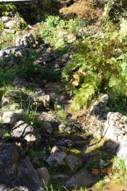 octobrejardin,citrouillesIssegeac,leCLOSdesSOURCES 126.JPG