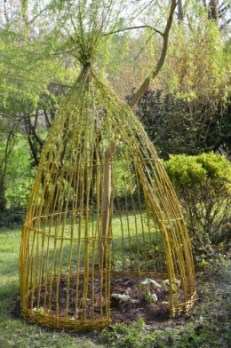 tipi,narcisse,prunus en fleurs 008.JPG