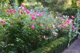 Trémolat,petit jardin,Julie 071.JPG