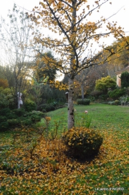 canal,automne,tonte des feuilles 070.JPG