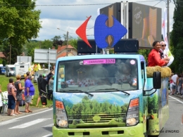 tour de France,jardinde Mme Peyrichou 069.JPG