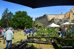 gastéropodes,les cygnes,marché,l'Abbaye Nouvelle,jerdin 076.JPG