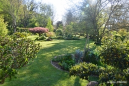 rosier de banks,jardin,cygnes,osier 010.JPG