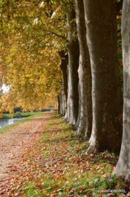 canal automne ,jardin,Ines 106.JPG