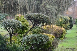 lune,persistants,oiseaux,compositions 087.JPG