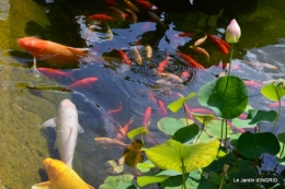 les jardins d'eau de Carsac 184.JPG