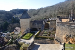 Avec Simone,Castelnault,anniversaire Romane,mimosa ,hamamelis 076.JPG