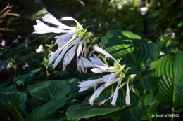 jardin,papillons,anniversaire d'Ines,bricolage 202.JPG