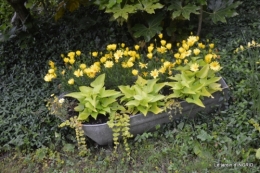 jardin en mai,visites bus,petit jardin 229.jpg