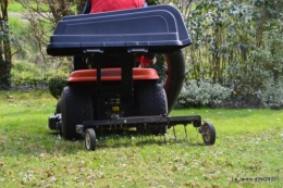 semis,taille,tonte,tour du jardin 039.JPG