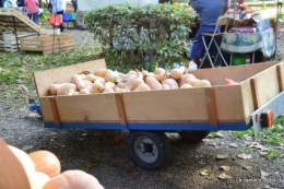 Issygeac citrouilles,canal,coucher de soleil,automne 021.JPG