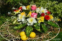 petit jardin,compo Brigitte 017.JPG