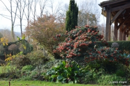 poule d'eau,travaux et dernières fleurs,tonte,sapin bois 076.JPG