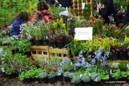 Fouleix,marguerites,hostas 085.JPG