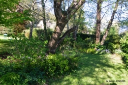 tour de jardin d'avril ,tonte 058.JPG