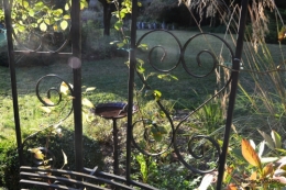cygnes,jardin,apres la tonte 094.JPG