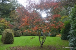 la Sedelle,étang de Riault,cyclamens 028.JPG