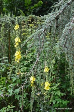 jardin,papillons,anniversaire d'Ines,bricolage 011.JPG