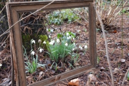 chez Maryse,pour tableaux,jardin 2013 036.JPG